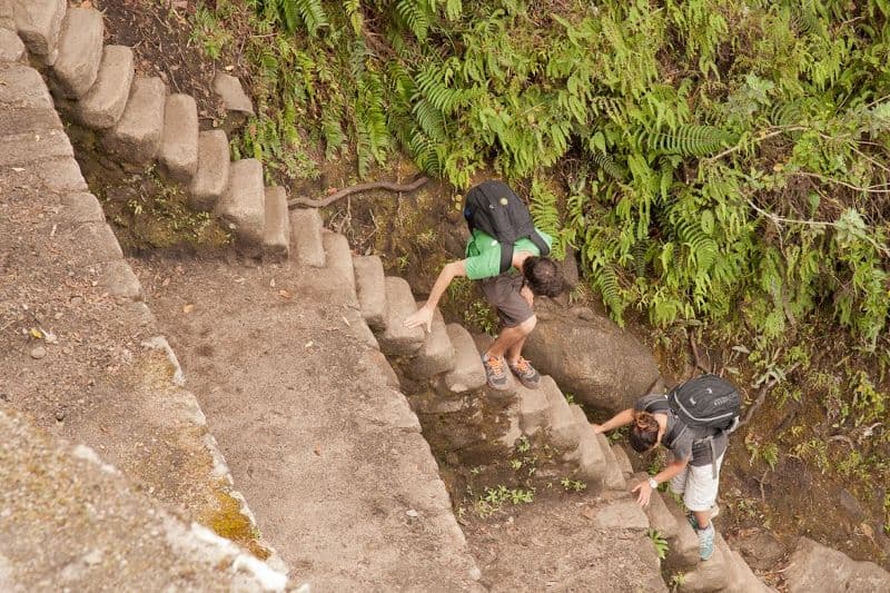 Ripidi sentieri di WaynaPicchu Ripidi sentieri di WaynaPicchu